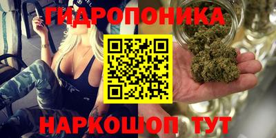 кокс Гусиноозёрск