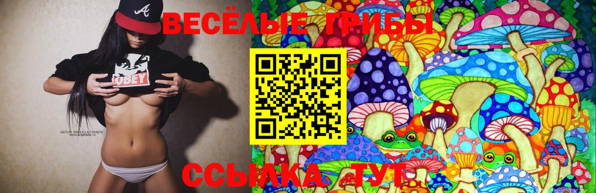 Каспийск  Псилоцибиновые грибы Magic Shrooms  Вход с VPN 
